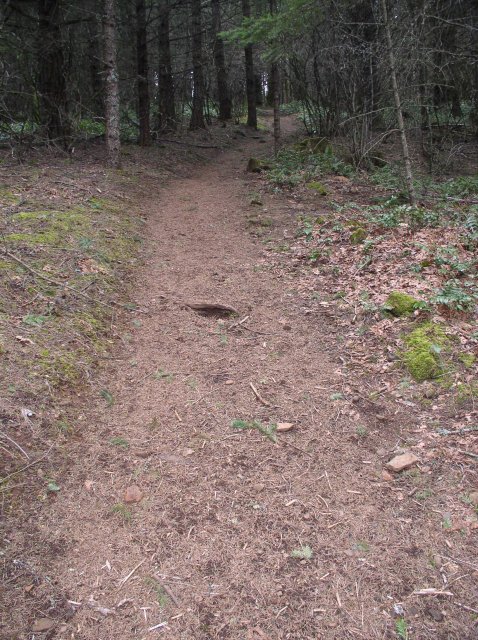 3.24.06 Dog Mountain 054 